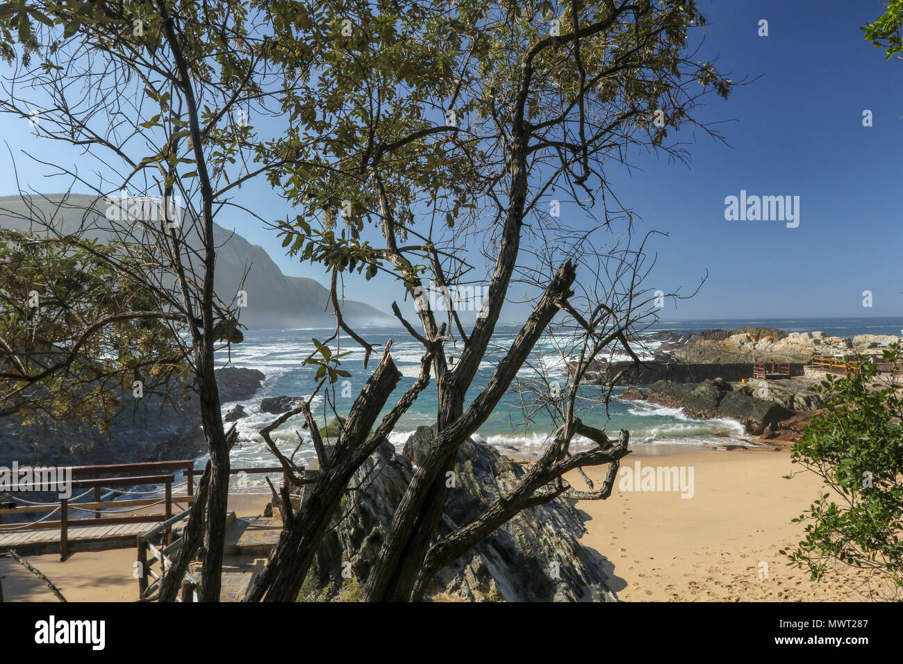 View across sandy beach into the Indian Ocean from Tsitsikamma National Park mouth trail, Garden Route, Cape, South Africa Stock Photo