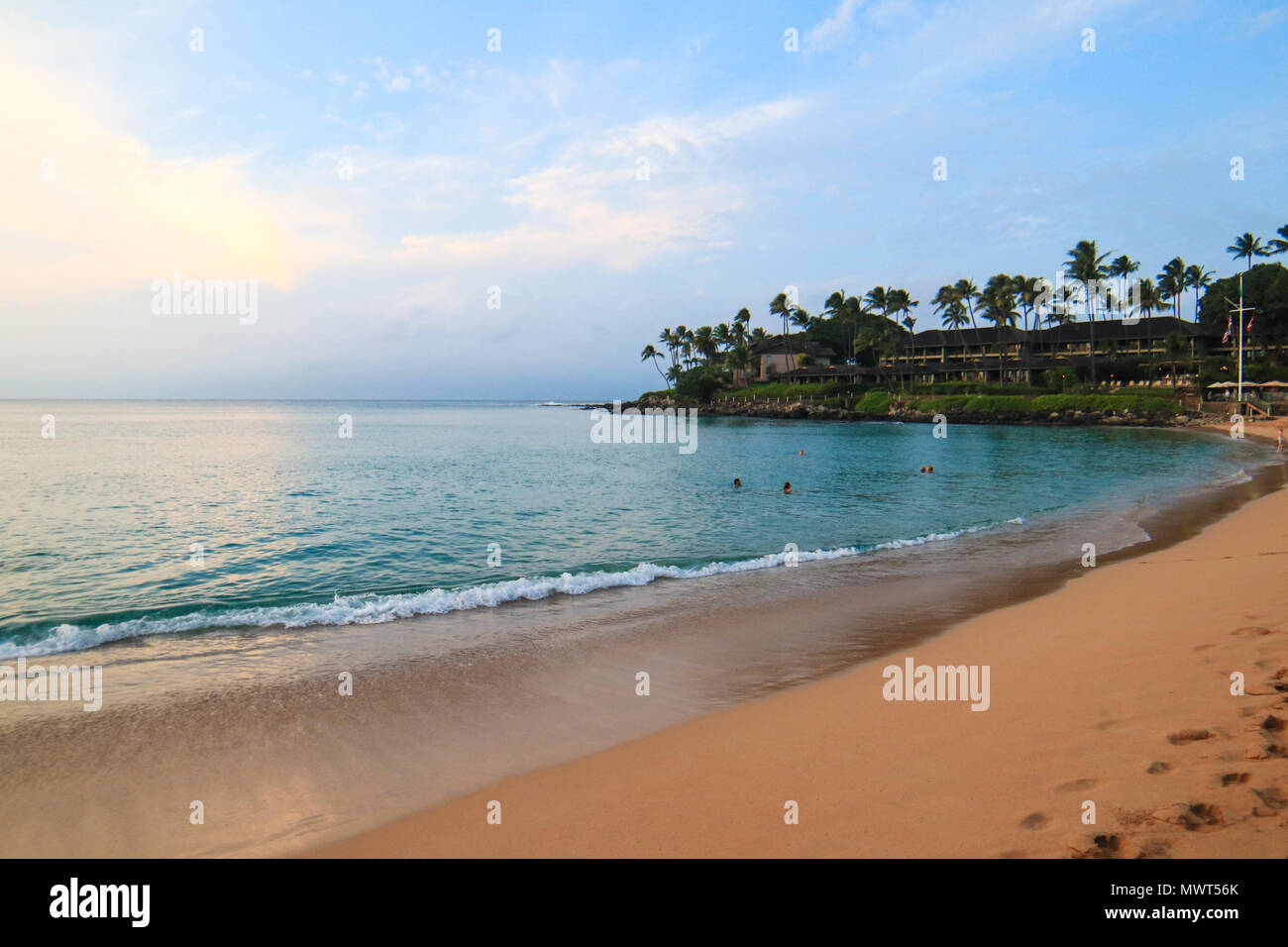 Frequently Rated As One Of The Most Beautiful Beaches In The World Kaanapali Beach In Lahaina Maui Hawaii Stock Photo Alamy,Fall Blooming Perennials Fall Perennial Flowers