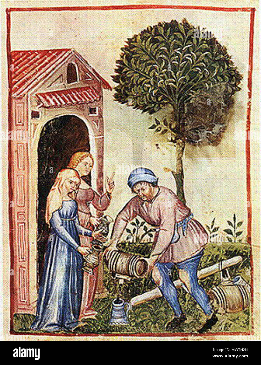 English Olive Oil Oleum Oliue Nature Warm And Humid Optimum english-olive-oil-oleum-oliue-nature-warm-and-humid-optimum