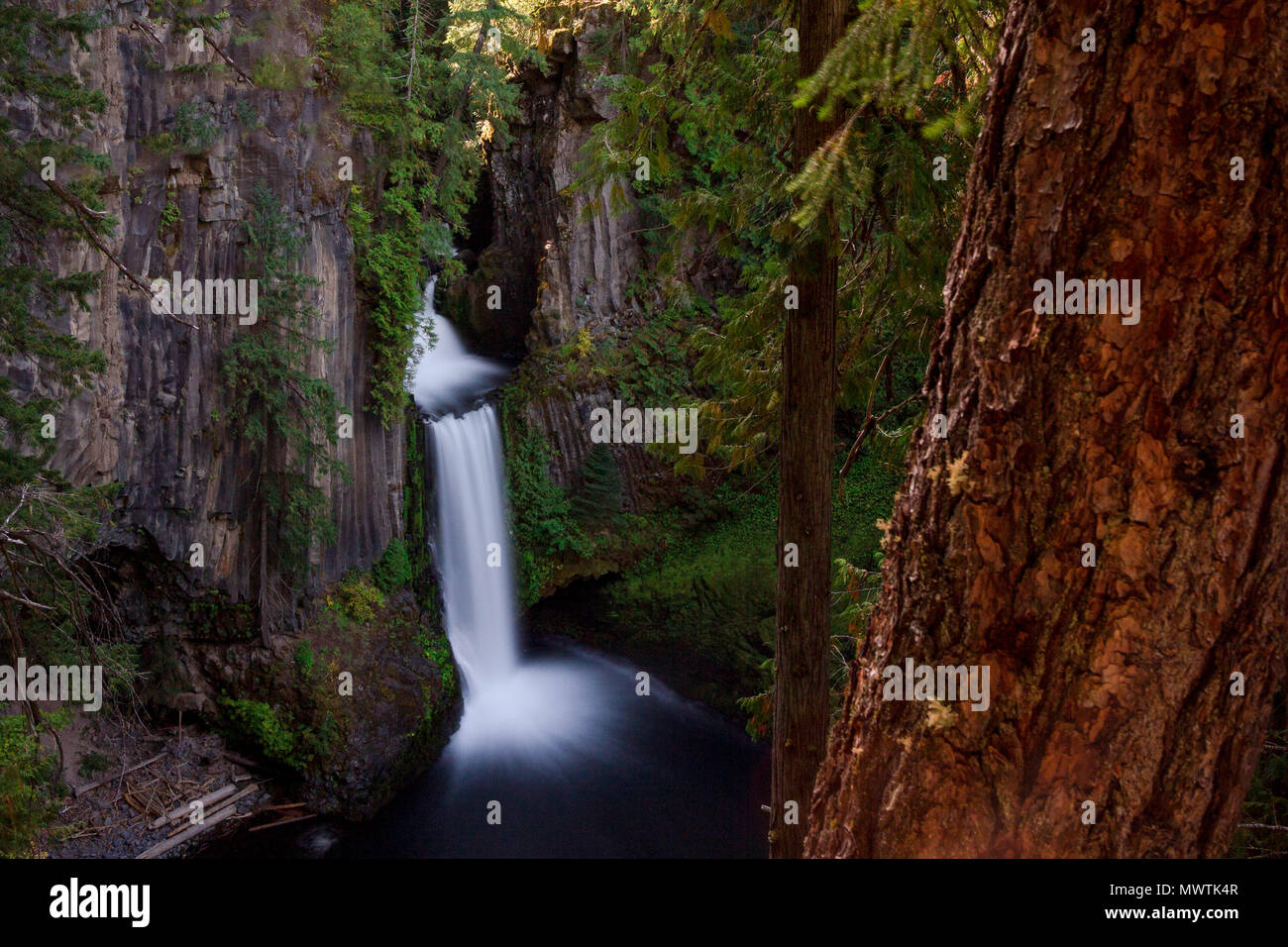 Toketee Falls, Oregon Stock Photo