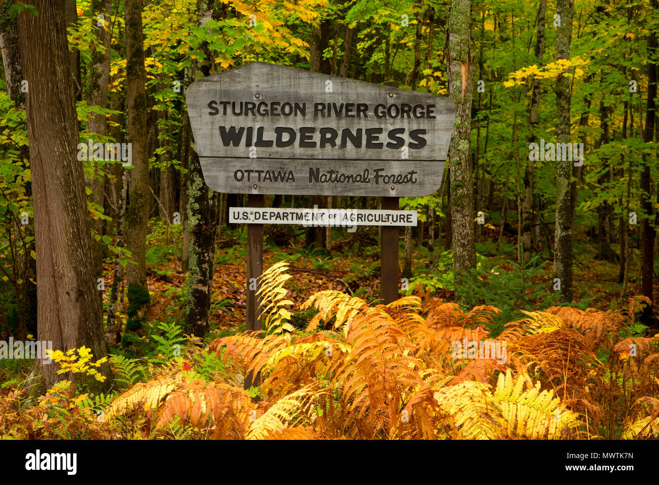 Wilderness sign, Sturgeon River Wilderness, Sturgeon Wild and