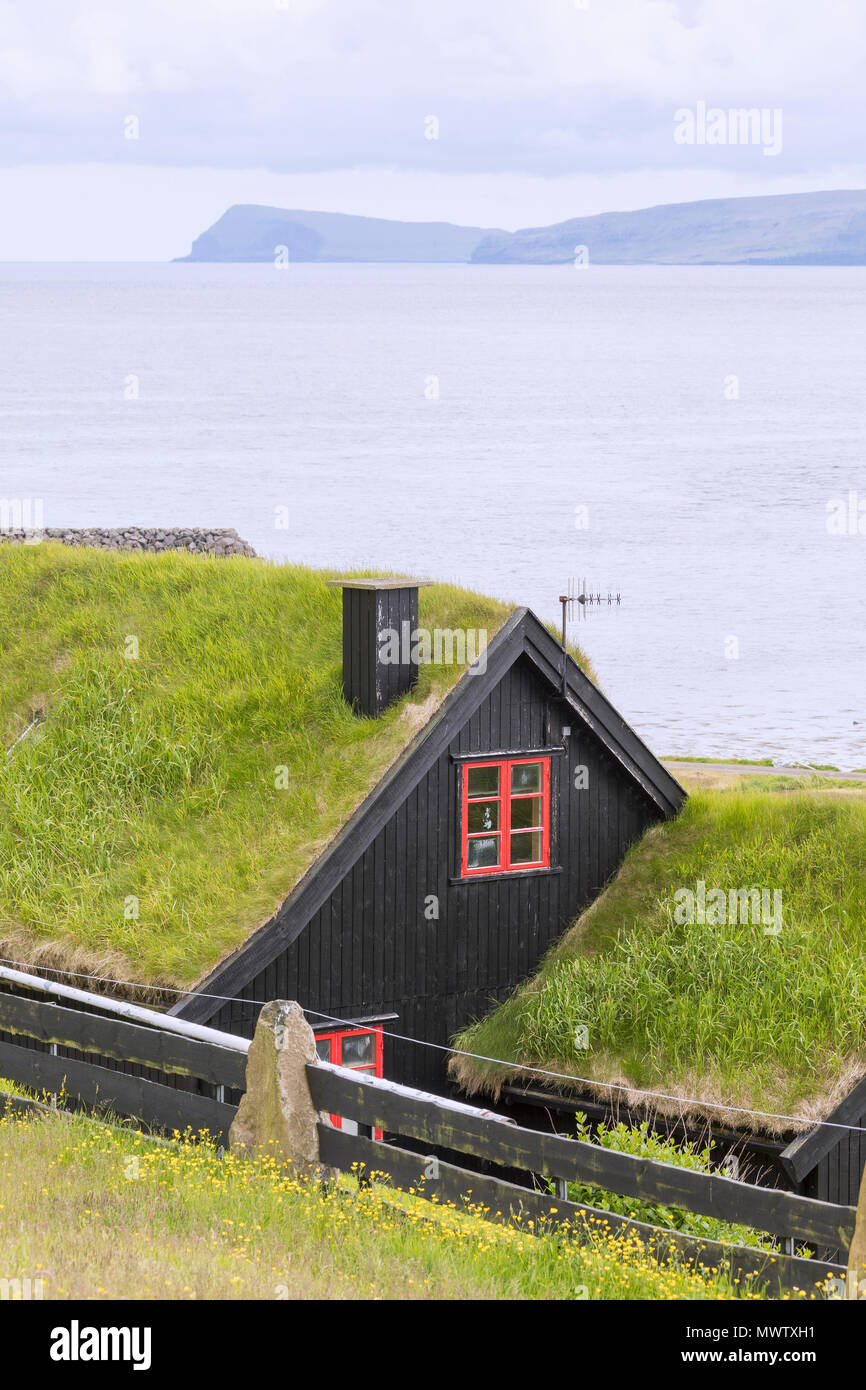 Traditional houses with grass (turf) roof, Kirkjubour, Streymoy island, Faroe Islands, Denmark, Europe Stock Photo