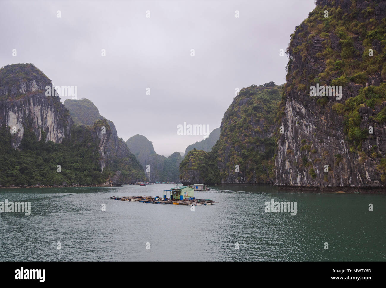Floating fishing village in the Lan Ha Bay, Cat Ba Island, a typical Karst landscape in Vietnam