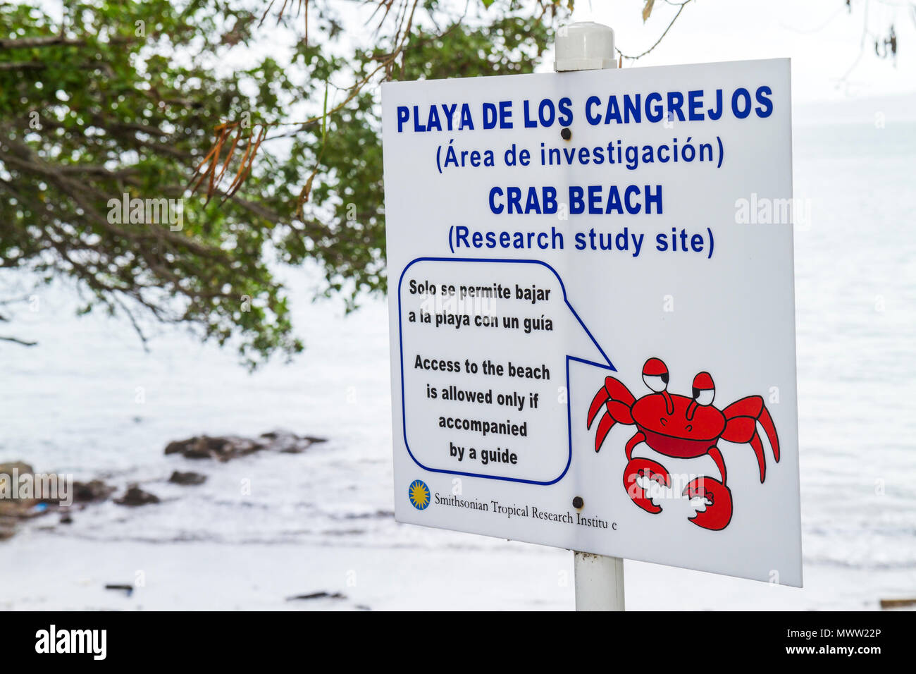 Panama,Latin,Central America,Panama City,Amador Causeway,Bahia de Panama,Panama Canal,Isla Naos,Tropical Research Institute,sign,Crab Beach,research s Stock Photo