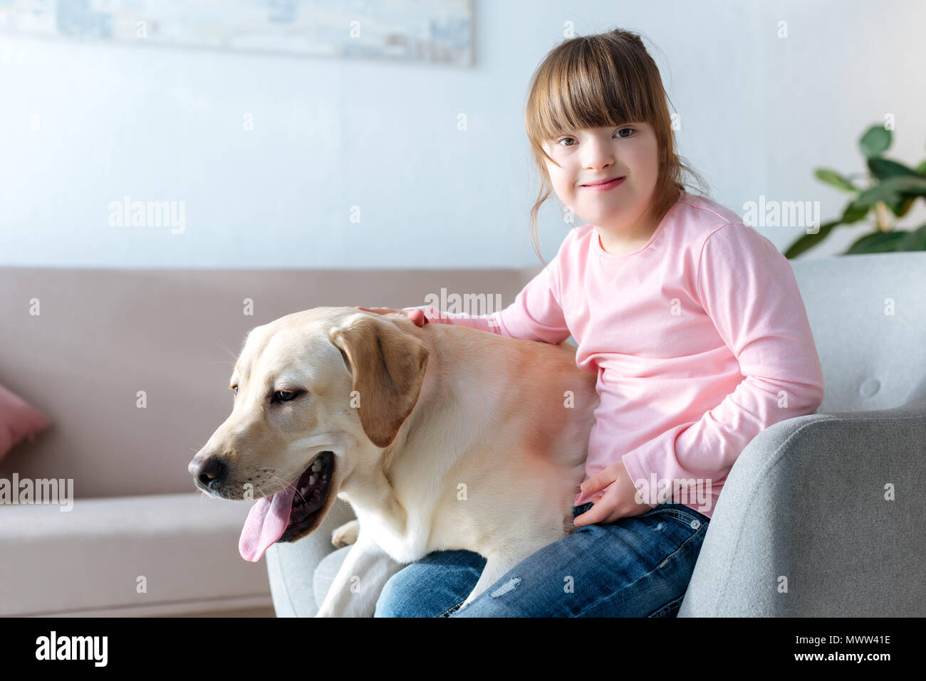down syndrome labrador