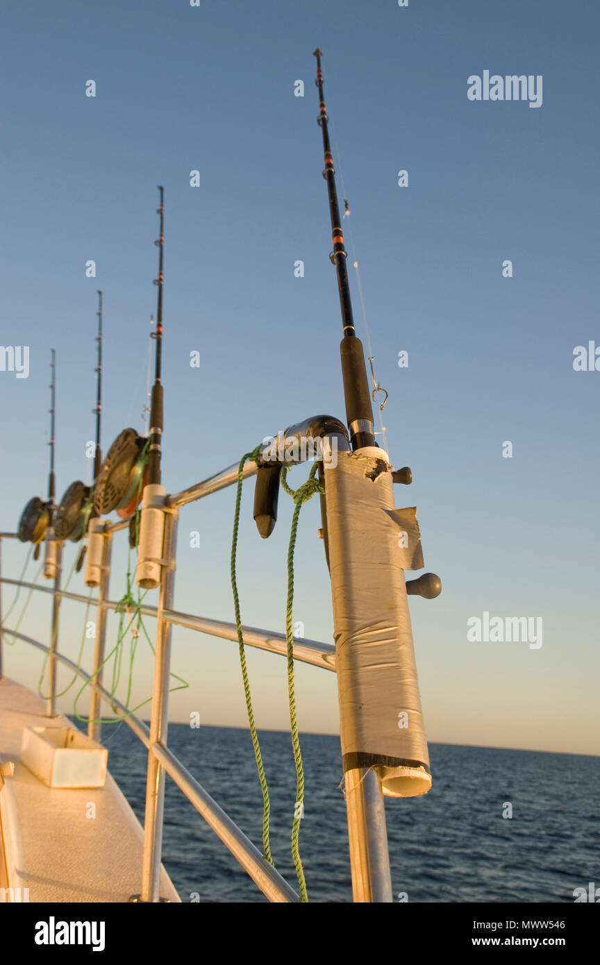 Deep sea rod hires stock photography and images Alamy