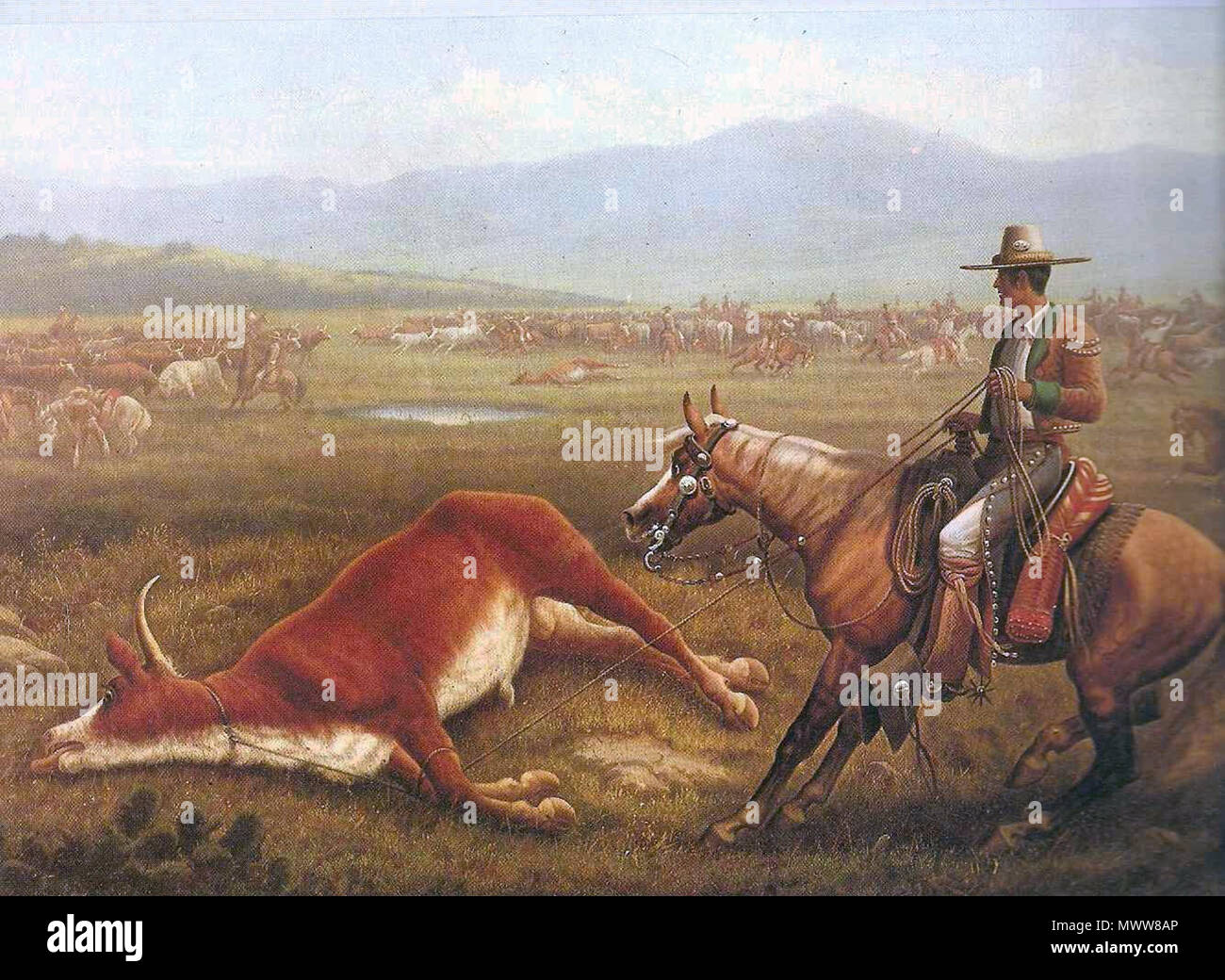 . English: Painting of a Vaquero in action roping cattle during 1830s Spanish California. 1830s. Time Life Books 626 Vaqueros Stock Photo