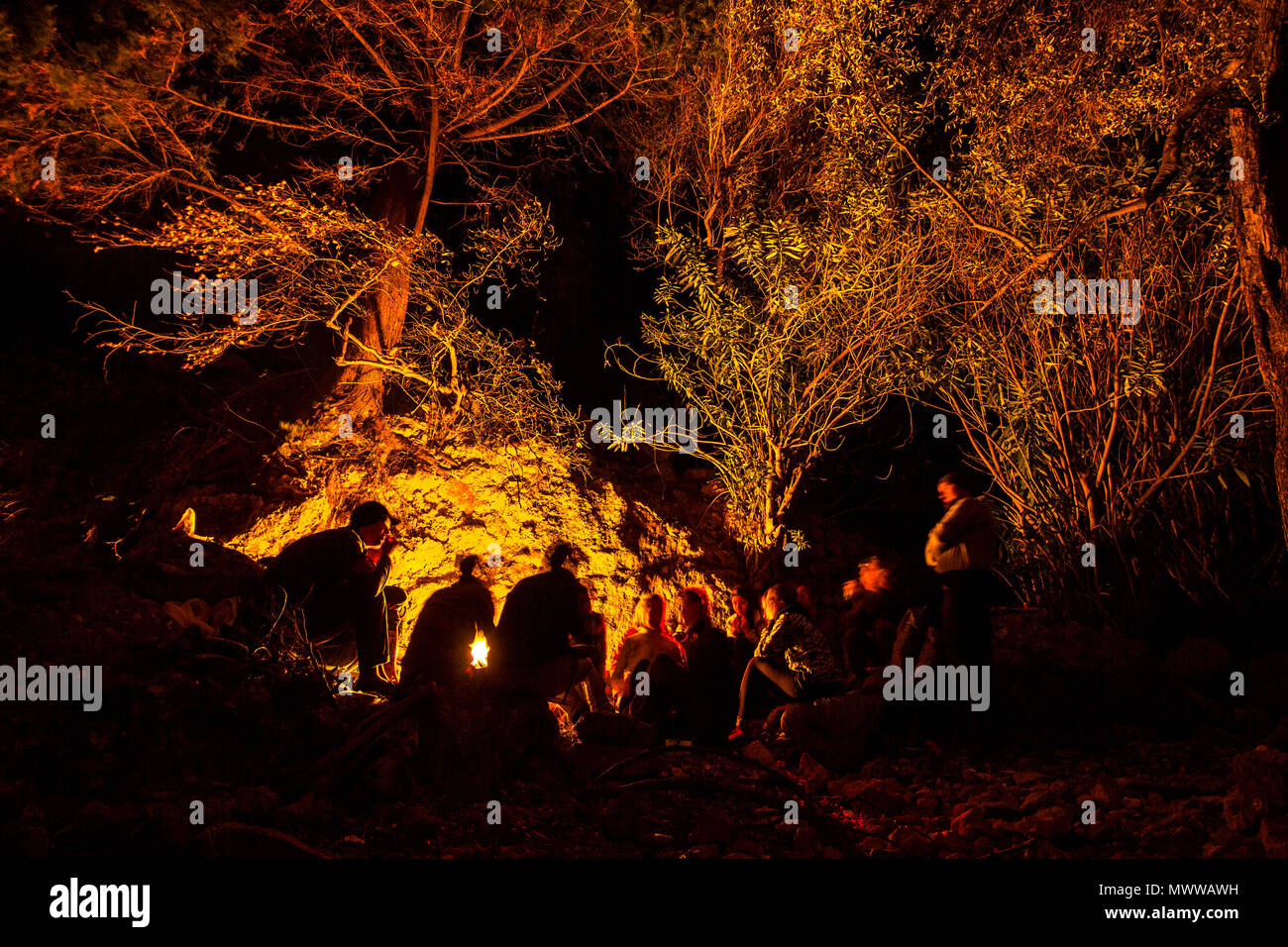 forest highlighted with bonfire at night with people Stock Photo - Alamy