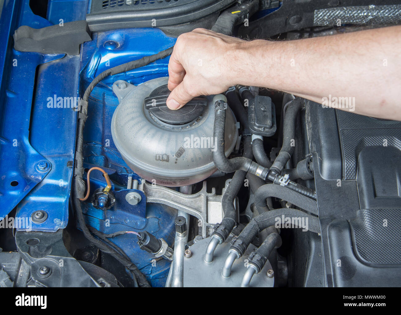 Antifreeze Bottle Stock Photos Antifreeze Bottle Stock Antifreeze Bottle Stock Photos Antifreeze Bottle Stock