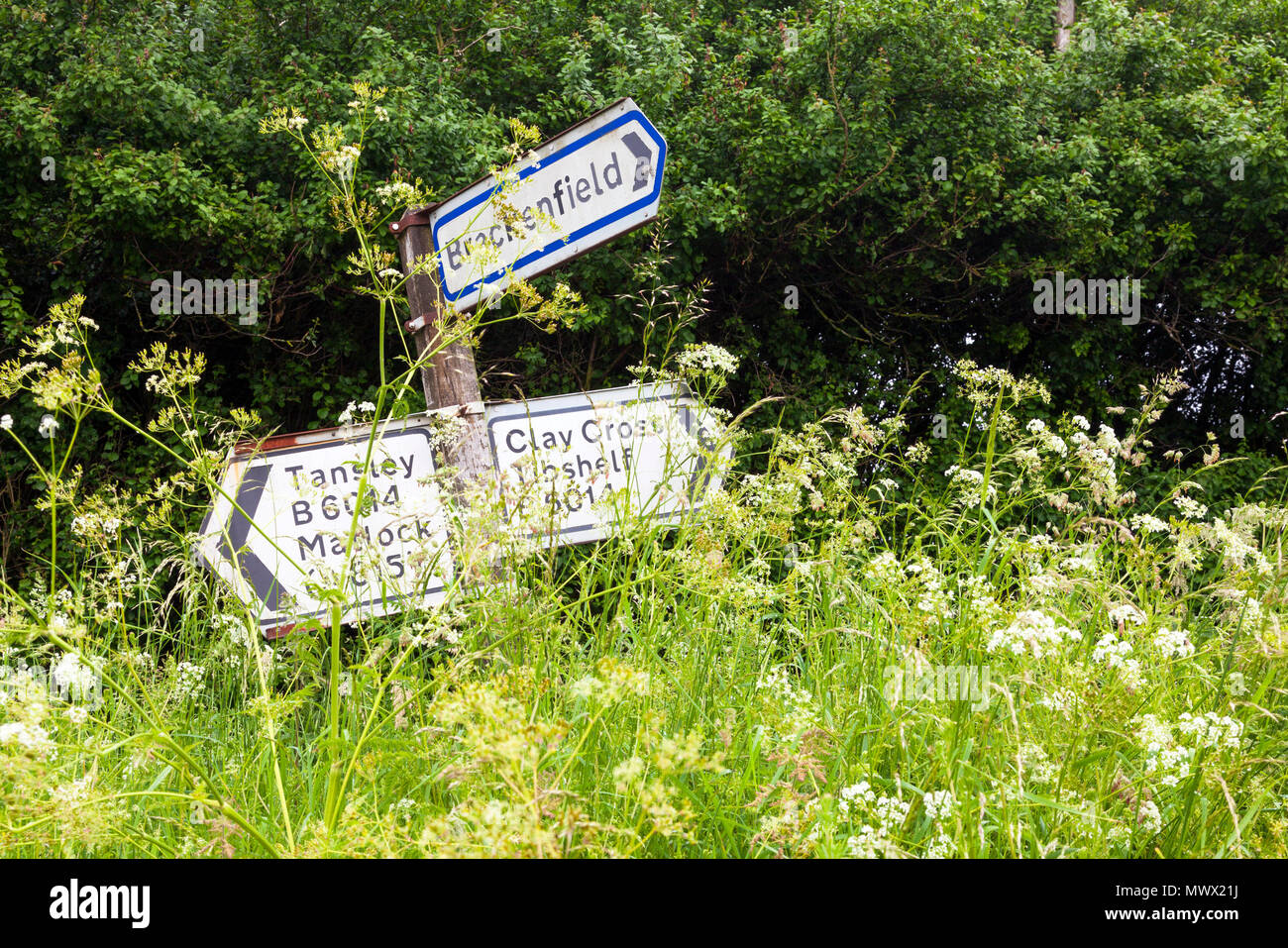 Brackenfield, Derbyshire, U.K. 2nd June 2018. Warm weather with sunshine and showers brings a spurt of growth to the hedgerows and grass verges on the B6014 near the Derbyshire village of Brackenfield. Credit: Mark Richardson/Alamy Live News Stock Photo