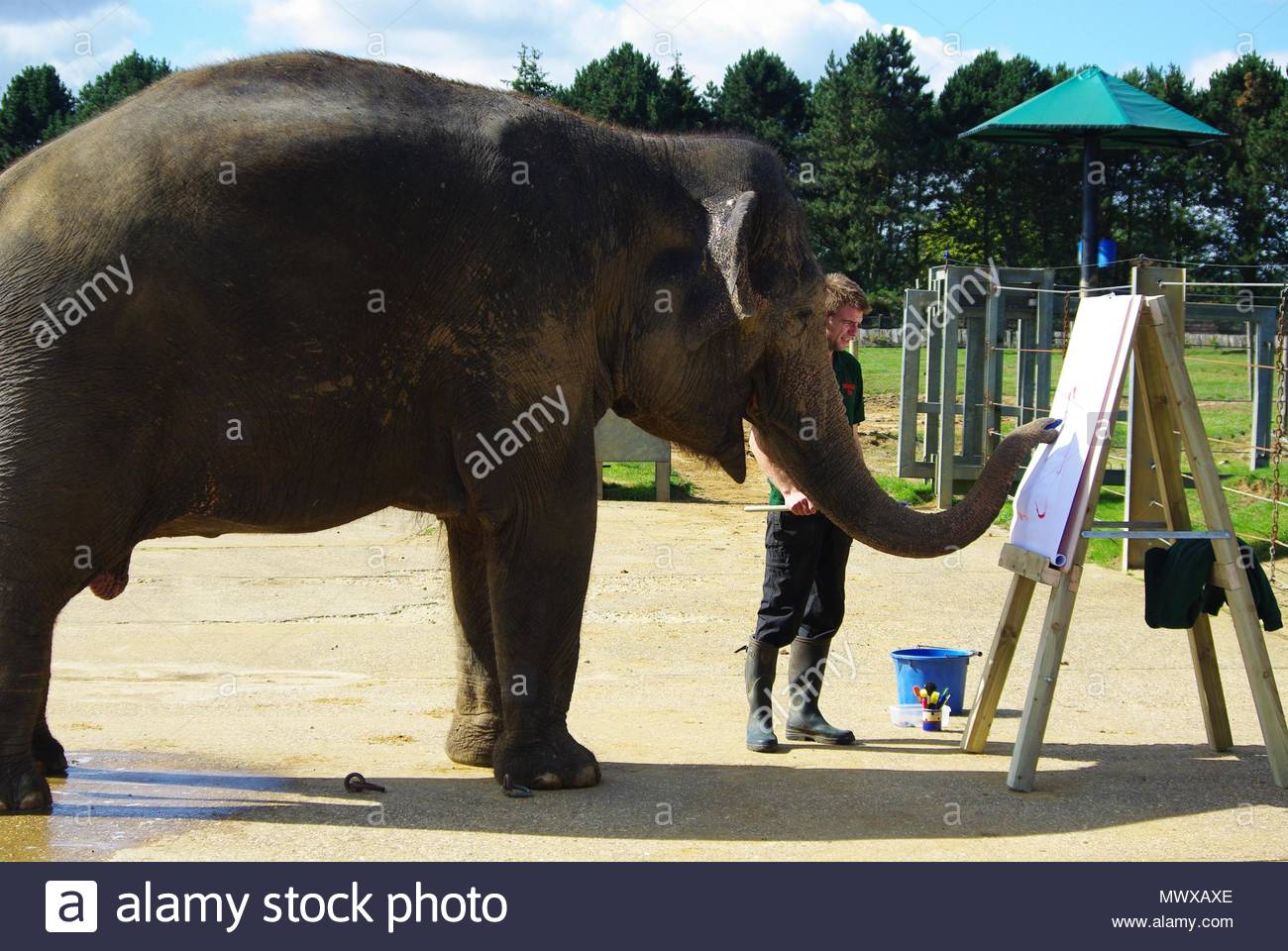 Non nude chubby latinos