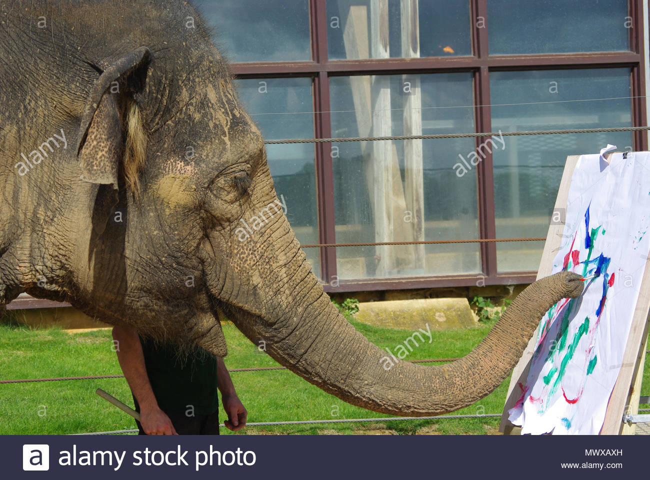 Erotic massage site web