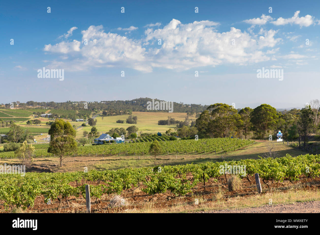 Ivanhoe Wine Estate, Hunter Valley, New South Wales, Australia, Pacific Stock Photo