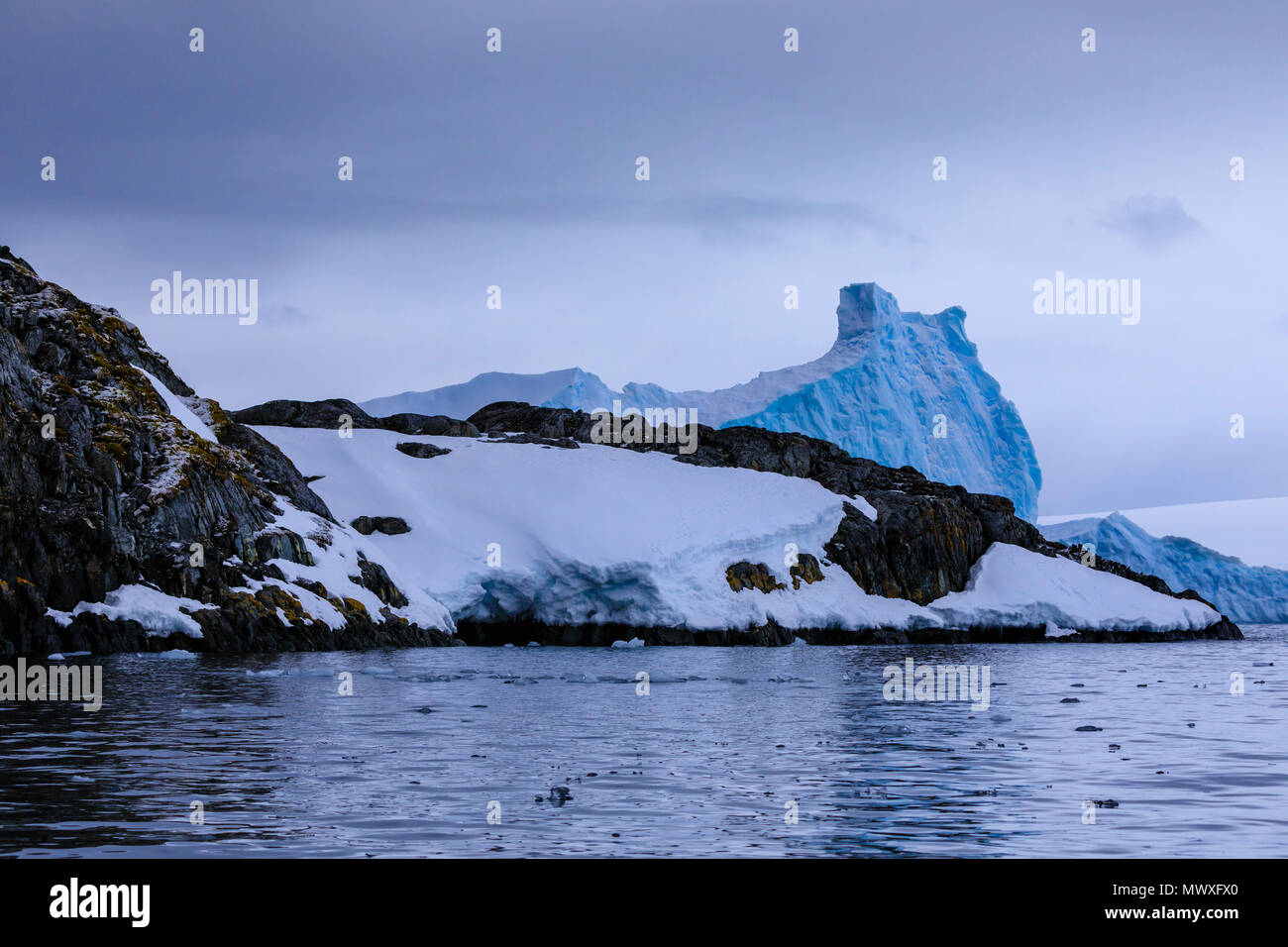 Moss covered rocks with dusting of snow, blue iceberg, Torgersen Island, Anvers Island, Antarctic Peninsula, Antarctica, Polar Regions Stock Photo