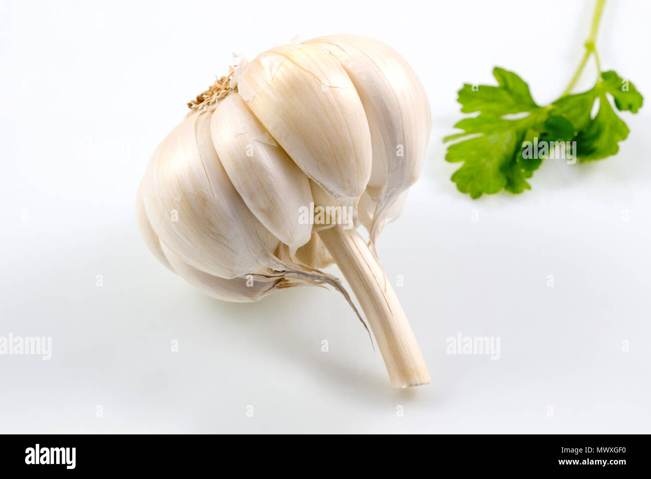 Garlic with leaves of parsley isolated on white background, Garlic and ...