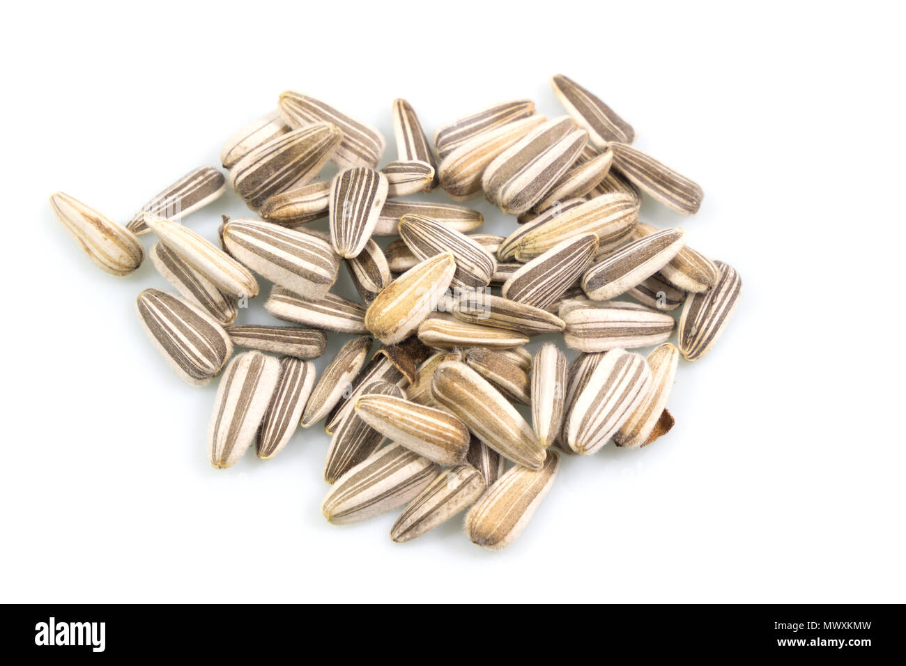 Sunflower seeds soil hi-res stock photography and images - Alamy