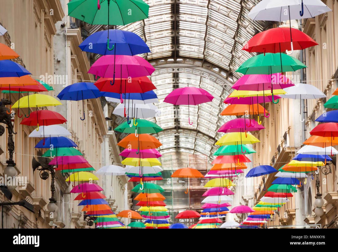 Colorful and beautiful umbrellas hanging in the city street decoration in  genova (genoa) italy Stock Photo - Alamy