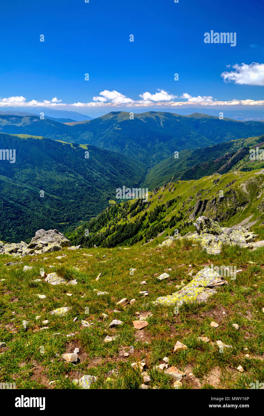 Beautiful landscape in the high mountain Stock Photo - Alamy