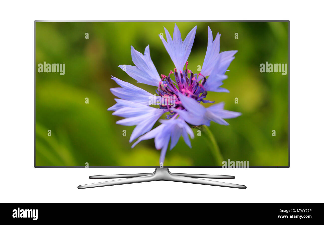 Smart tv isolated on white background with cornflower on screen Stock ...
