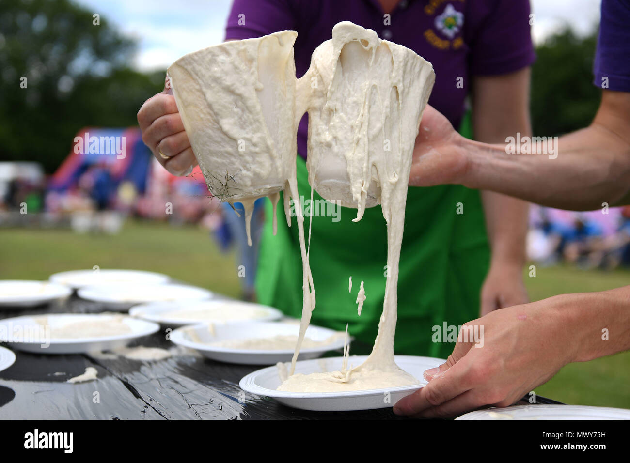 Kent world custard pie championship hires stock photography and images