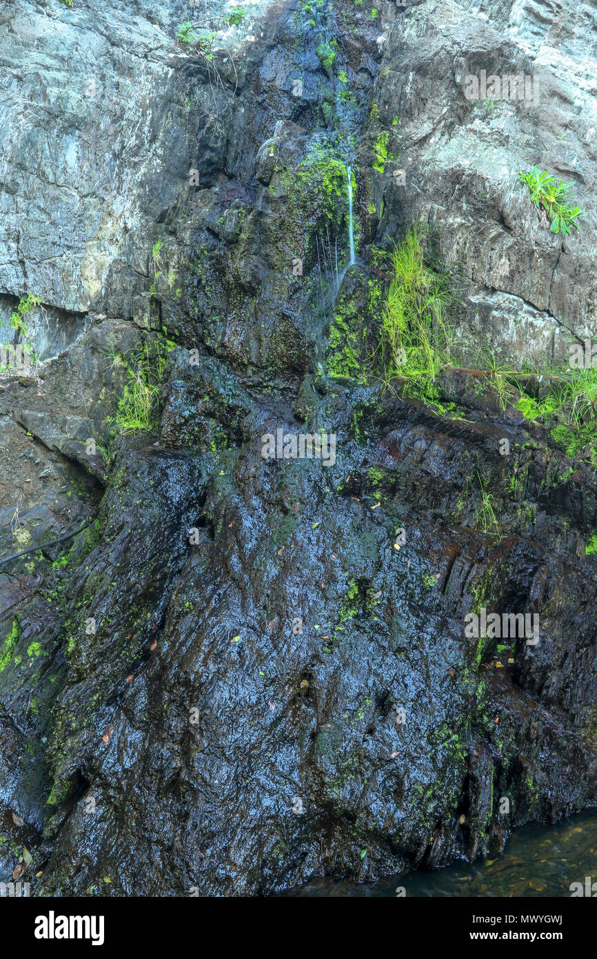 Small waterfall on the mouth trail at the Tsitsikamma, protected area, Garden Route, Cape, South Africa, Stock Photo