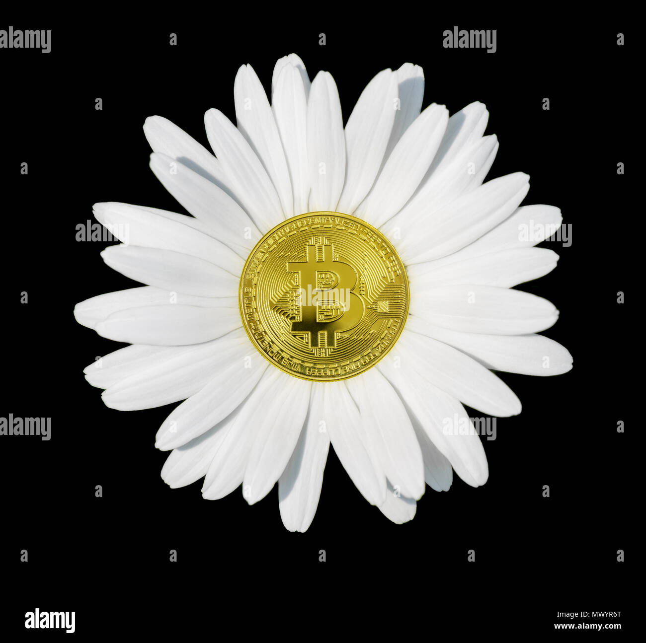Bitcoin flower hi-res stock photography and images - Alamy