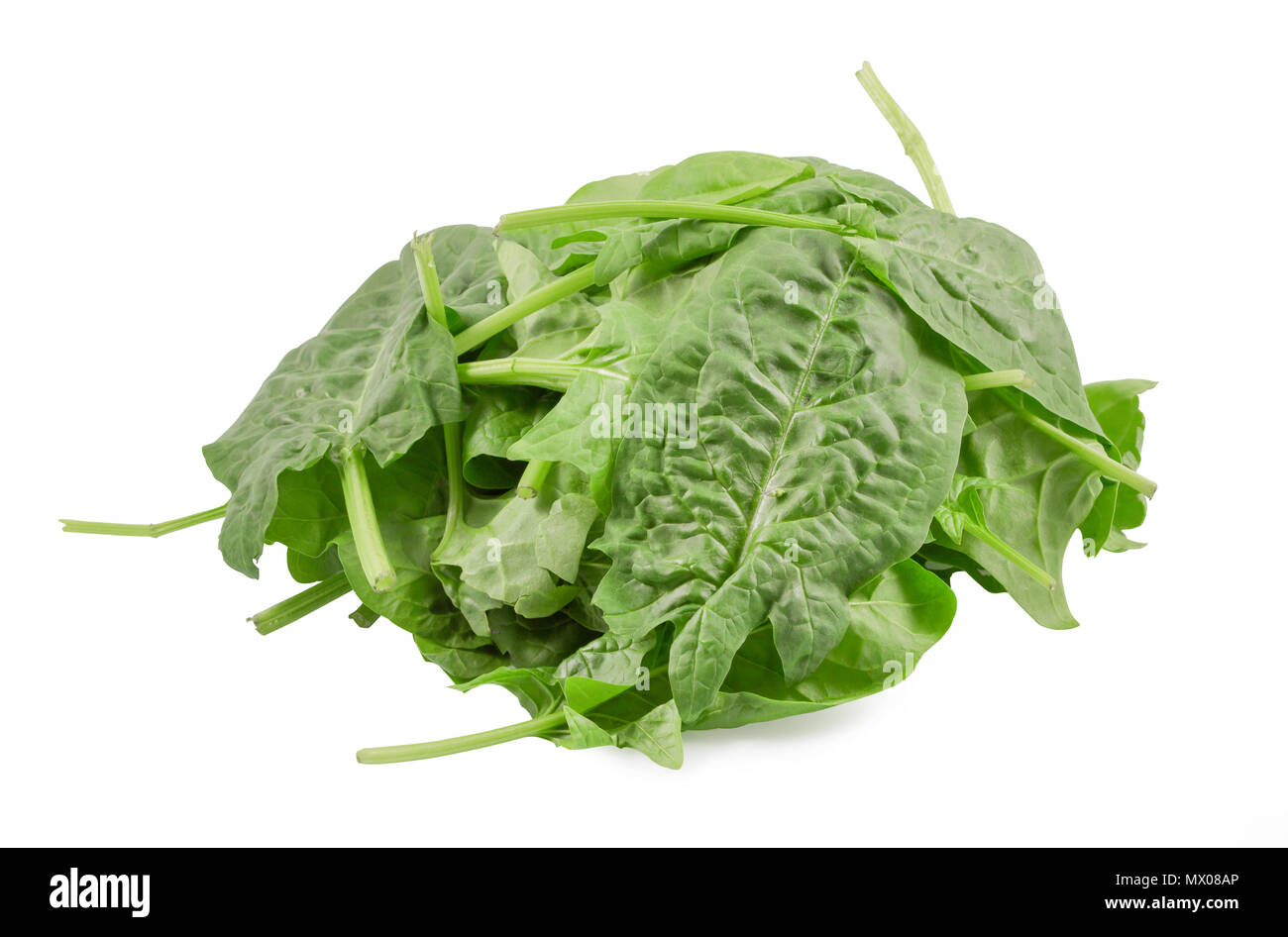 Fresh green spinach, spinach leaves close up isolated on white ...