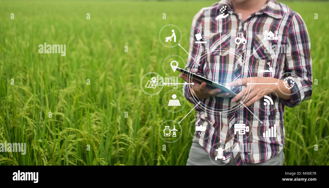 Agriculture technology farmer man using tablet computer analysis data ...