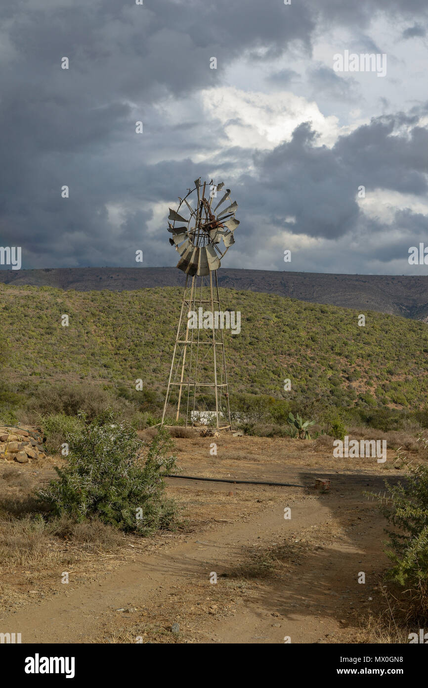 Multi-bladed windpump acacia and eastern cape fynbos in the landscape. The Addo Elephant National Park, eastern cape, south Africa Stock Photo