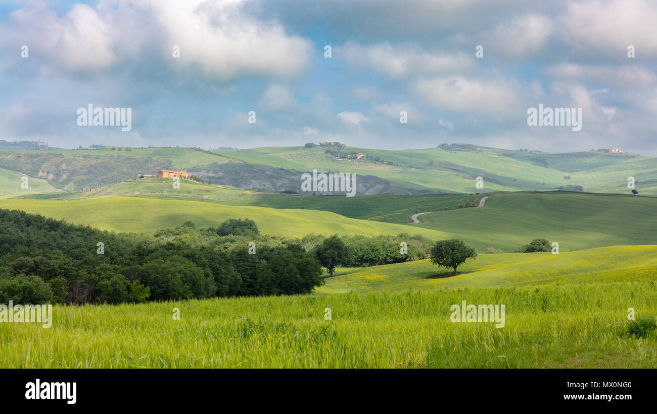 Tuscany in Spring. Landscape of Countryside Scene. Green Fields, Trees and Blue Sky with Clouds. Stock Photo