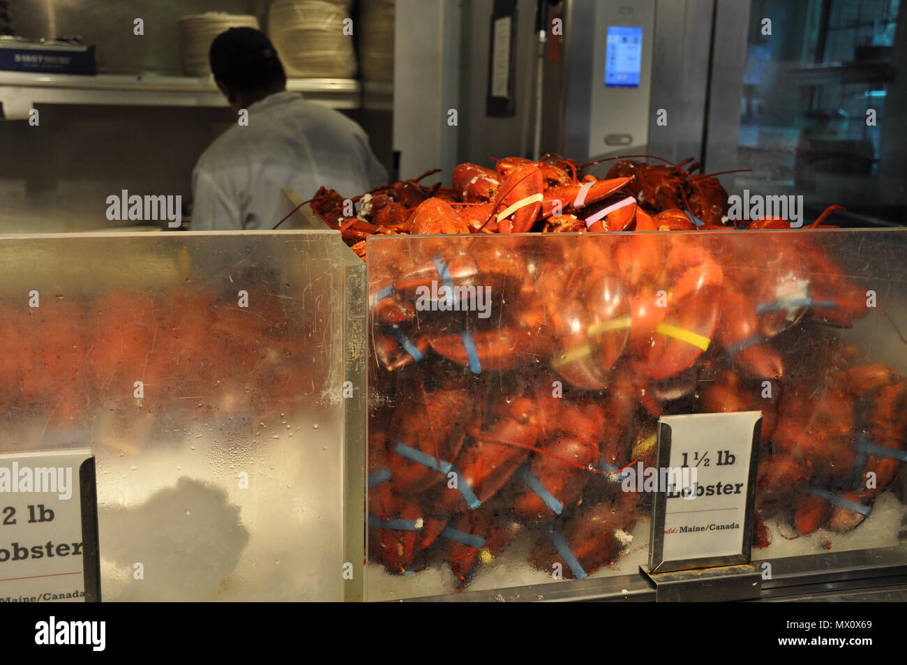 Pile of 1 1/2 lb lobsters, The Lobster Place, Chelsea market, New York