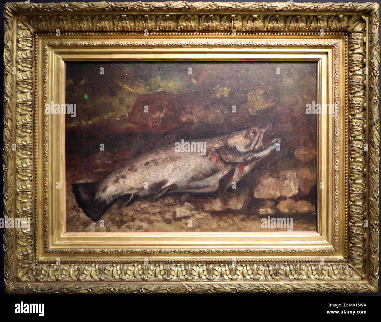N/A. Français : Gustave Courbet : La Femme aux bas blancs, huile sur toile,  65 x 81 cm. 1864. Gustave Courbet (1819-1877) 384 Courbet Femme aux bas  blancs Stock Photo - Alamy