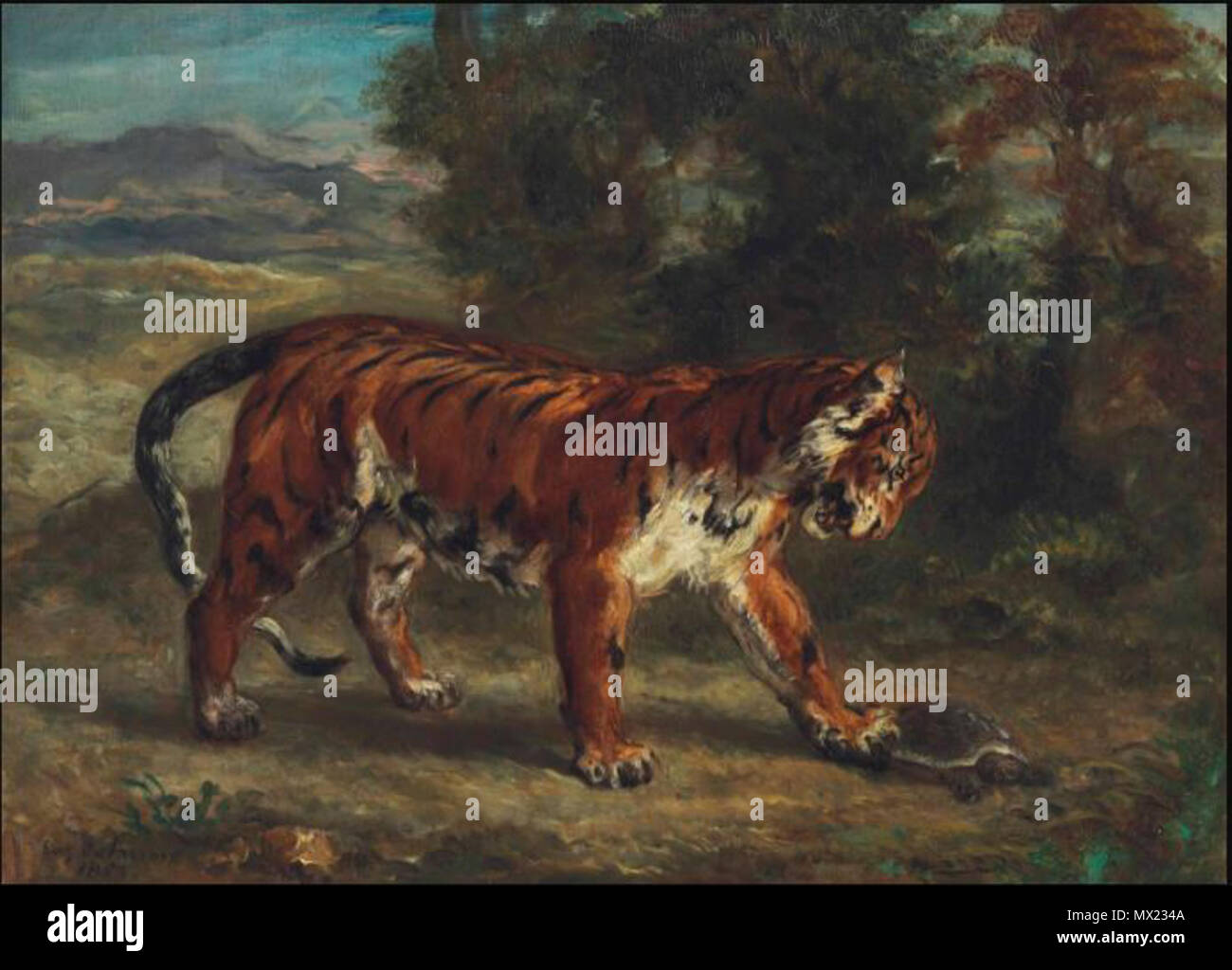 .  Français : Tigre jouant avec une tortue  . Painted in 1862 607 Tigre jouant avec une tortue Stock Photo