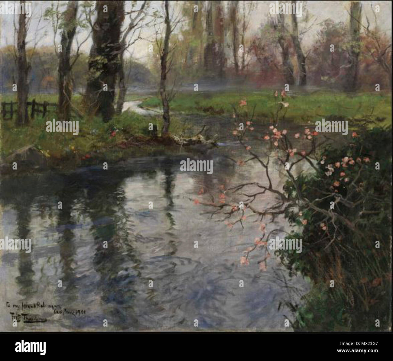 . A Stream in Springtime 22 A Stream in Springtime Stock Photo