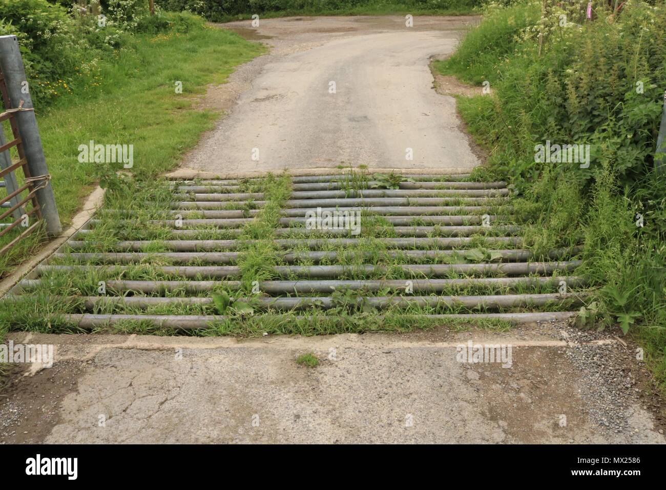 Cattle grid in the countryside Stock Photo