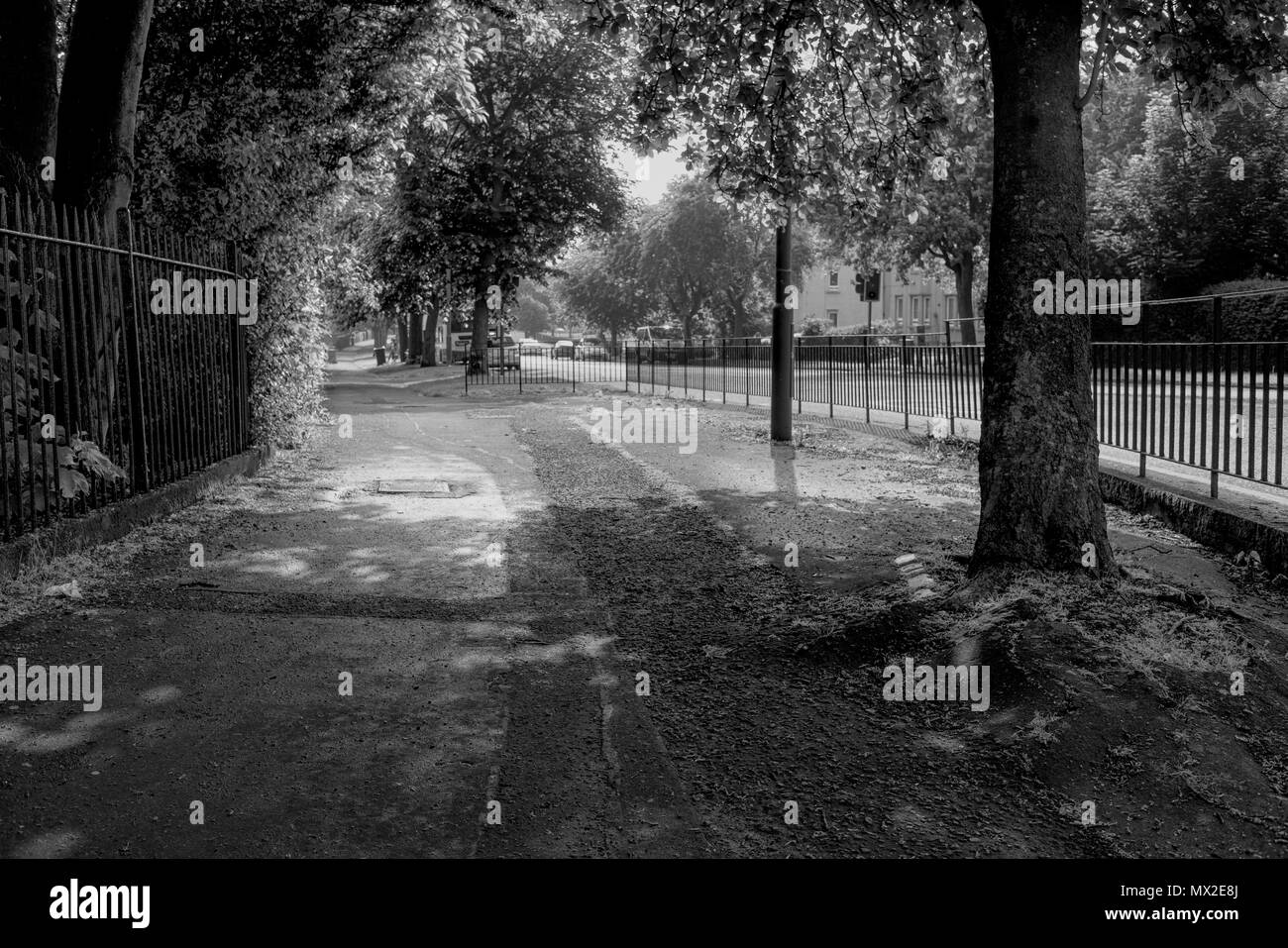 Grass paving pattern surface Black and White Stock Photos & Images - Alamy