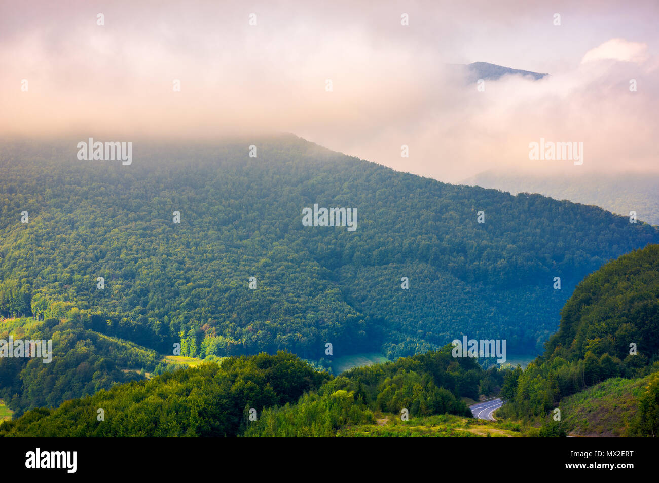 beautiful mountain landscape in low clouds. peak of the mountain in the distance among the clouds. beautiful morning landscape Stock Photo