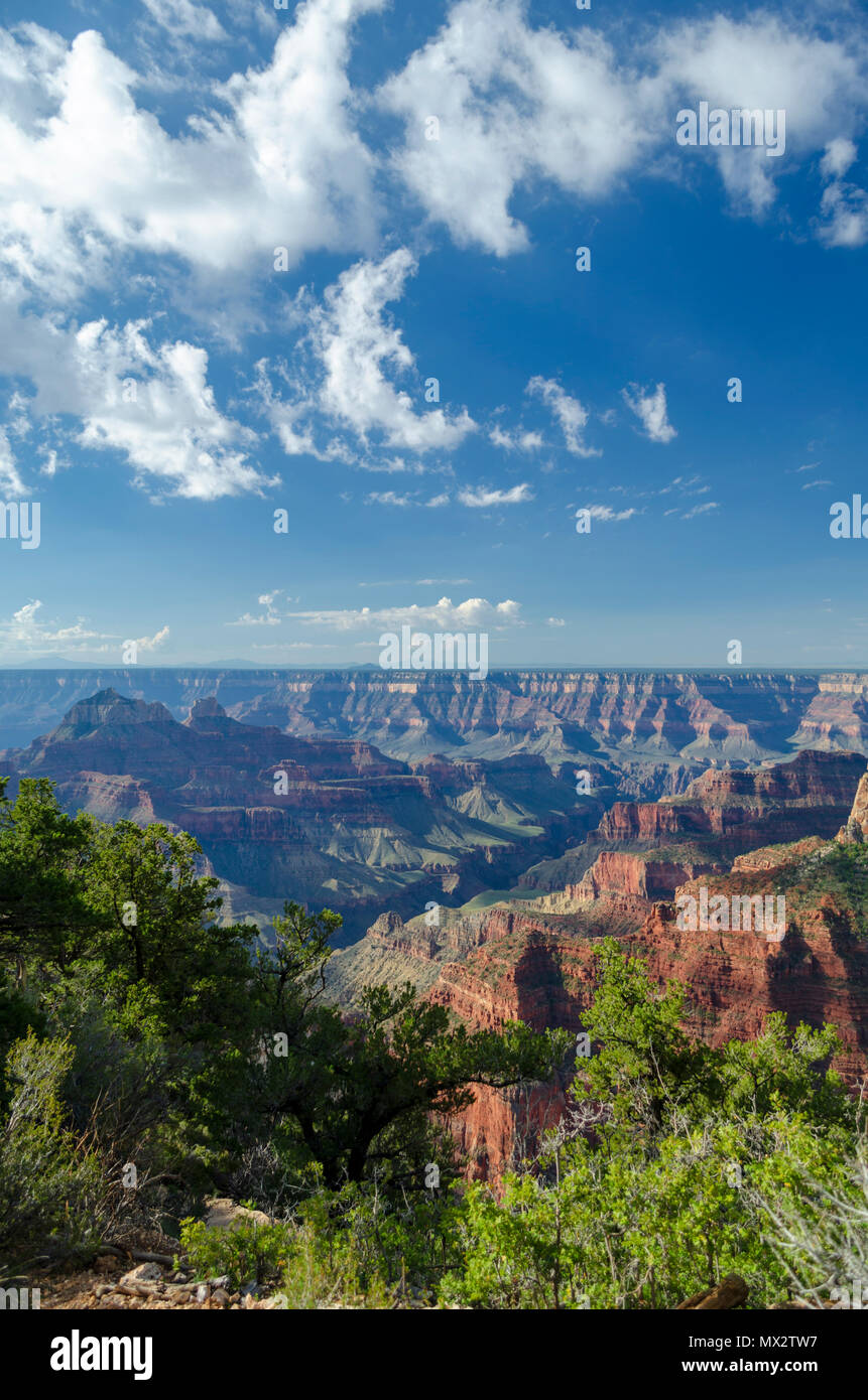 Scenic overlook of the Grand Canyon under blue sky with white clouds. Stock Photo
