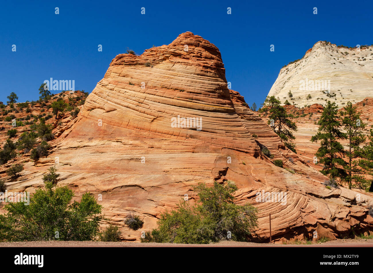 Layers of orange and yellow sandstone form a cone like rock formation with bushes and green trees around under a clear blue sky. Stock Photo