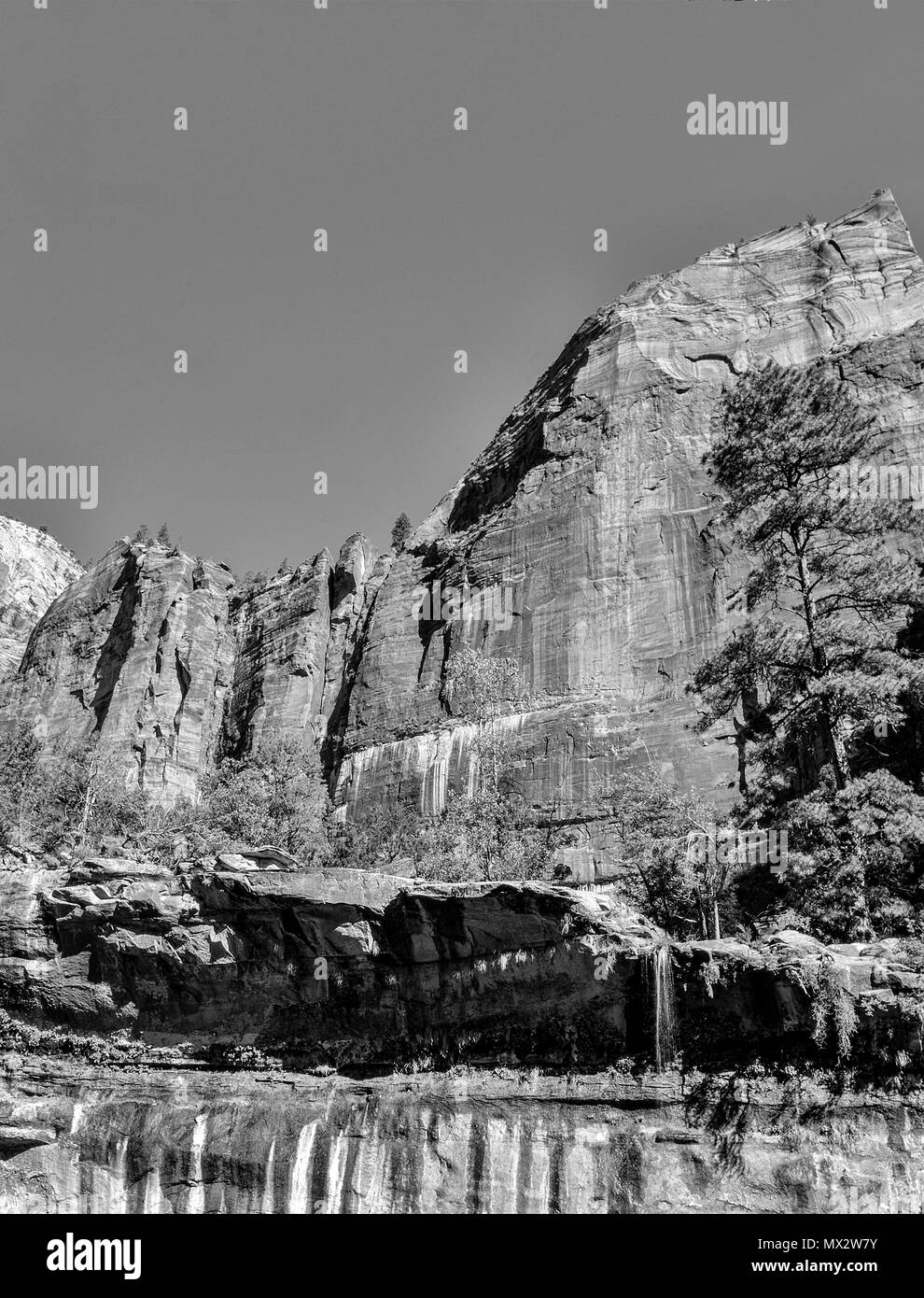 Large rock mountain under clear sky with tall trees and valley. Black and white. Stock Photo