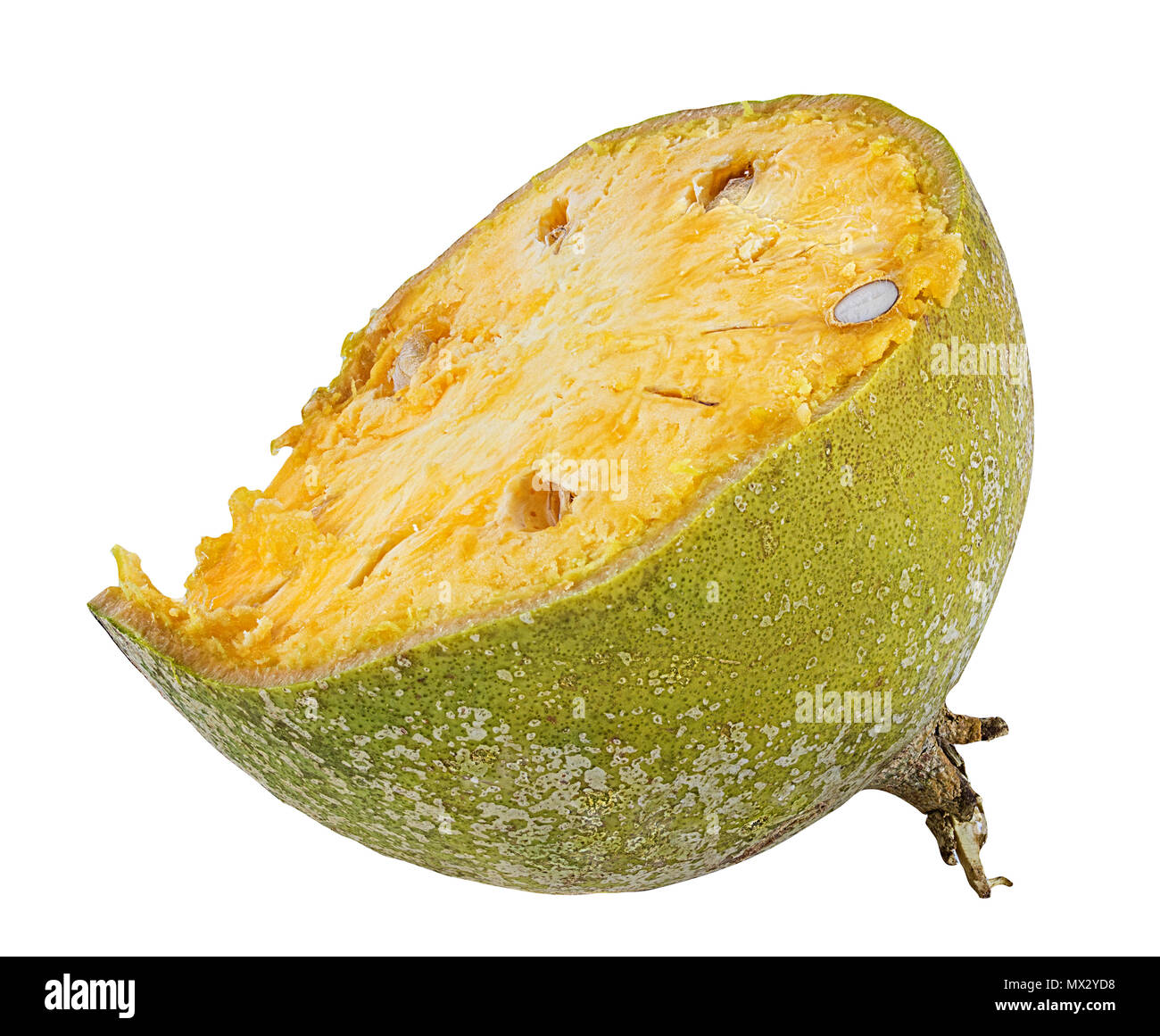 bael fruits or wood apple fruit (Aegle marmelos) on a white background