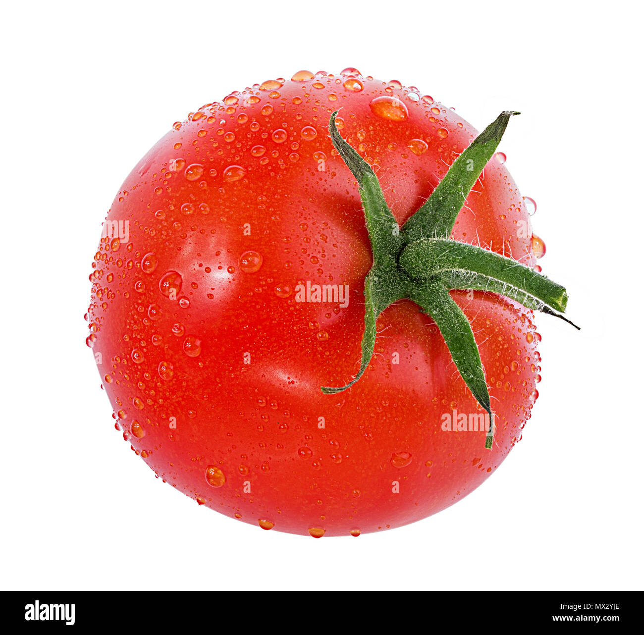 tomato isolated on white background Stock Photo - Alamy