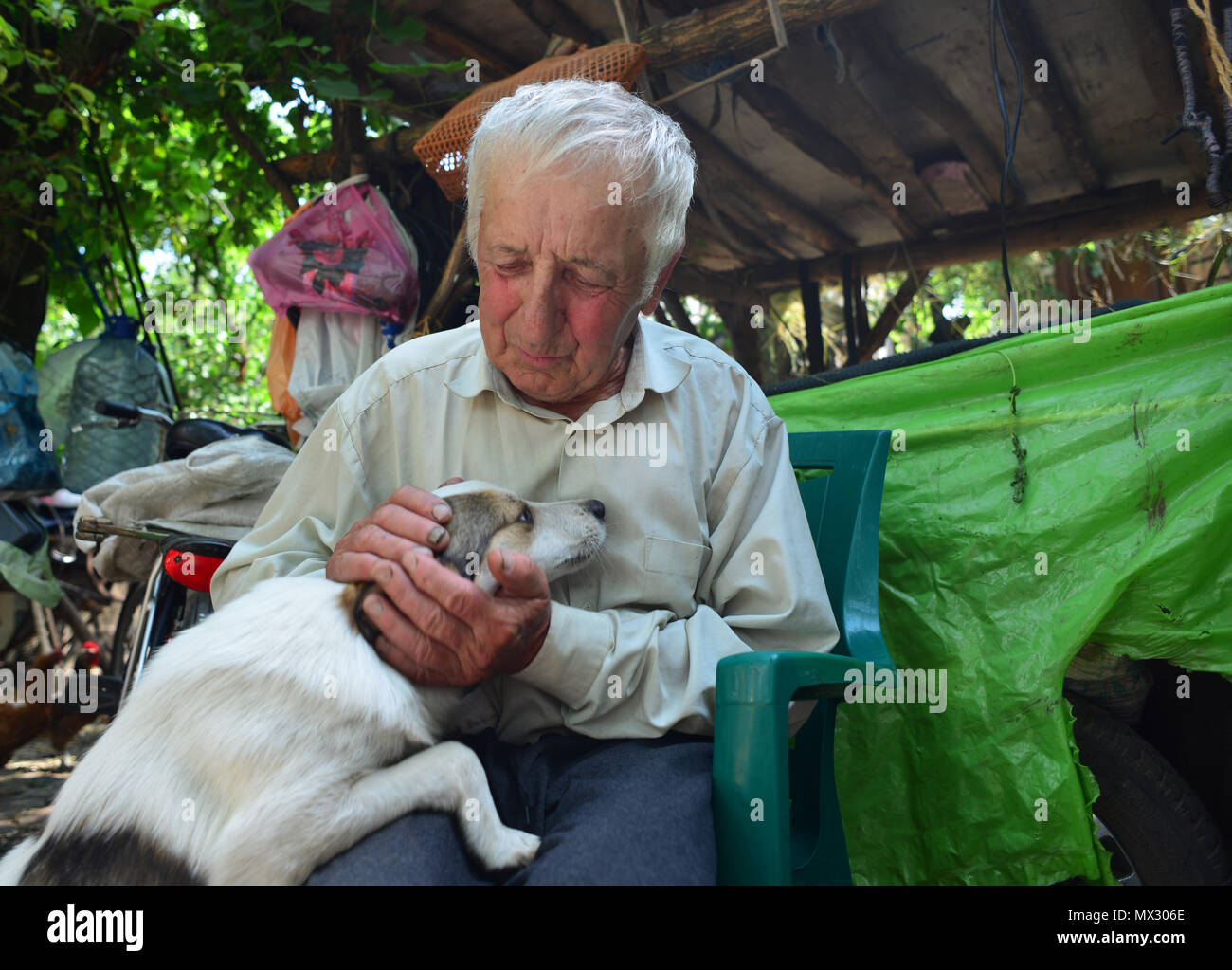 Old man and dog friendship Stock Photo