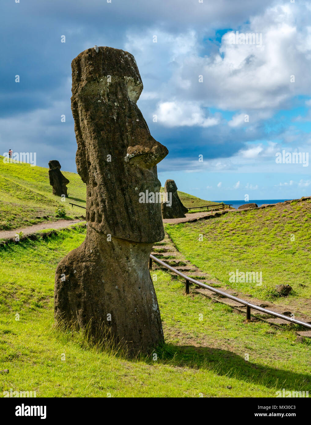 Unfinished and abandoned Moai heads, Rano Raraku quarry, Easter Island, Rapa Nui, Chile Stock