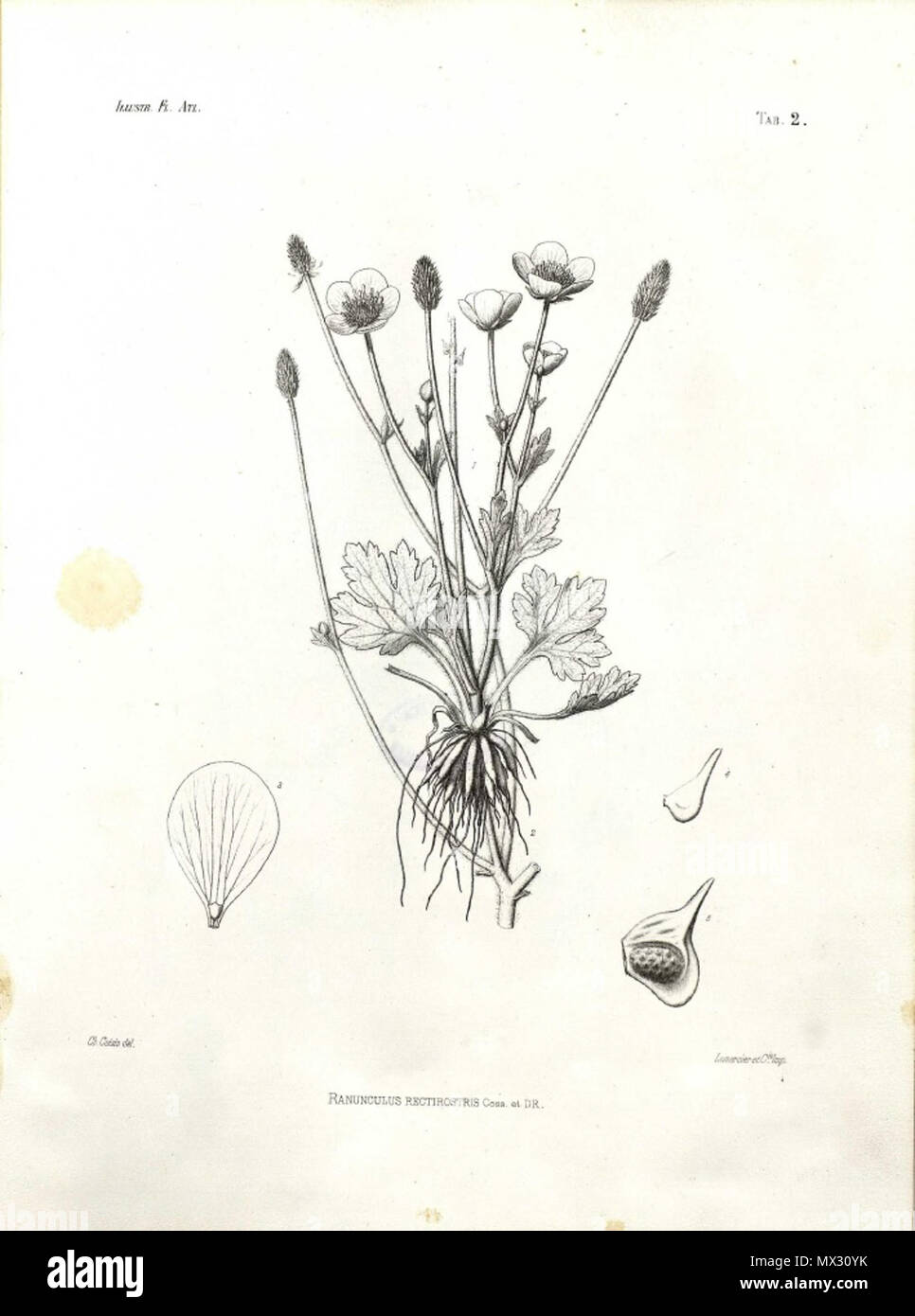 Ernest saint charles hires stock photography and images Alamy