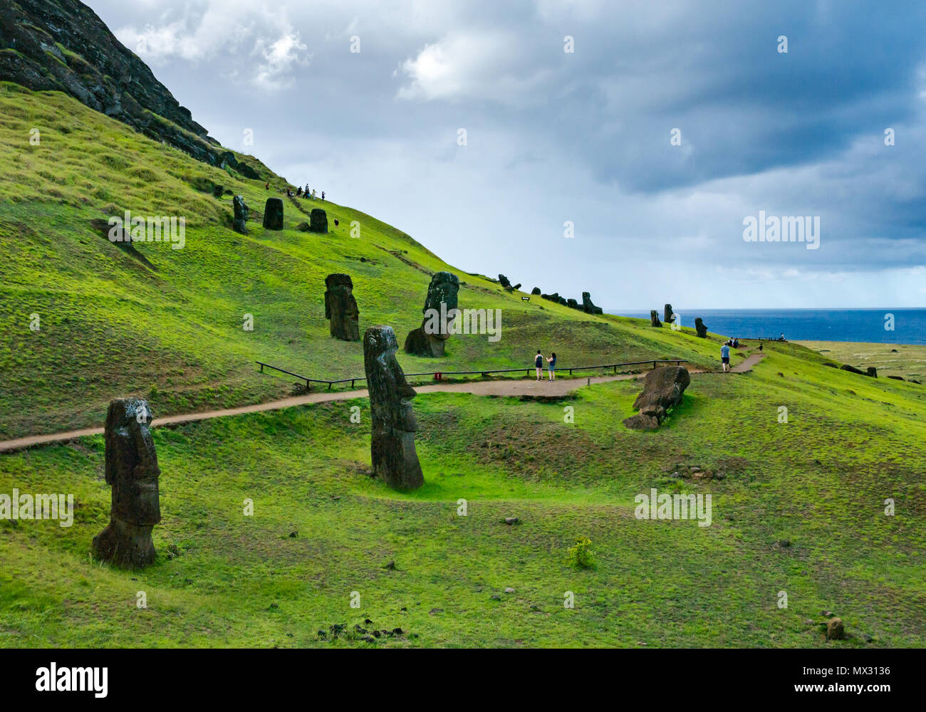 Unfinished and abandoned Moai heads, Rano Raraku quarry, Easter Island, Rapa Nui, Chile Stock