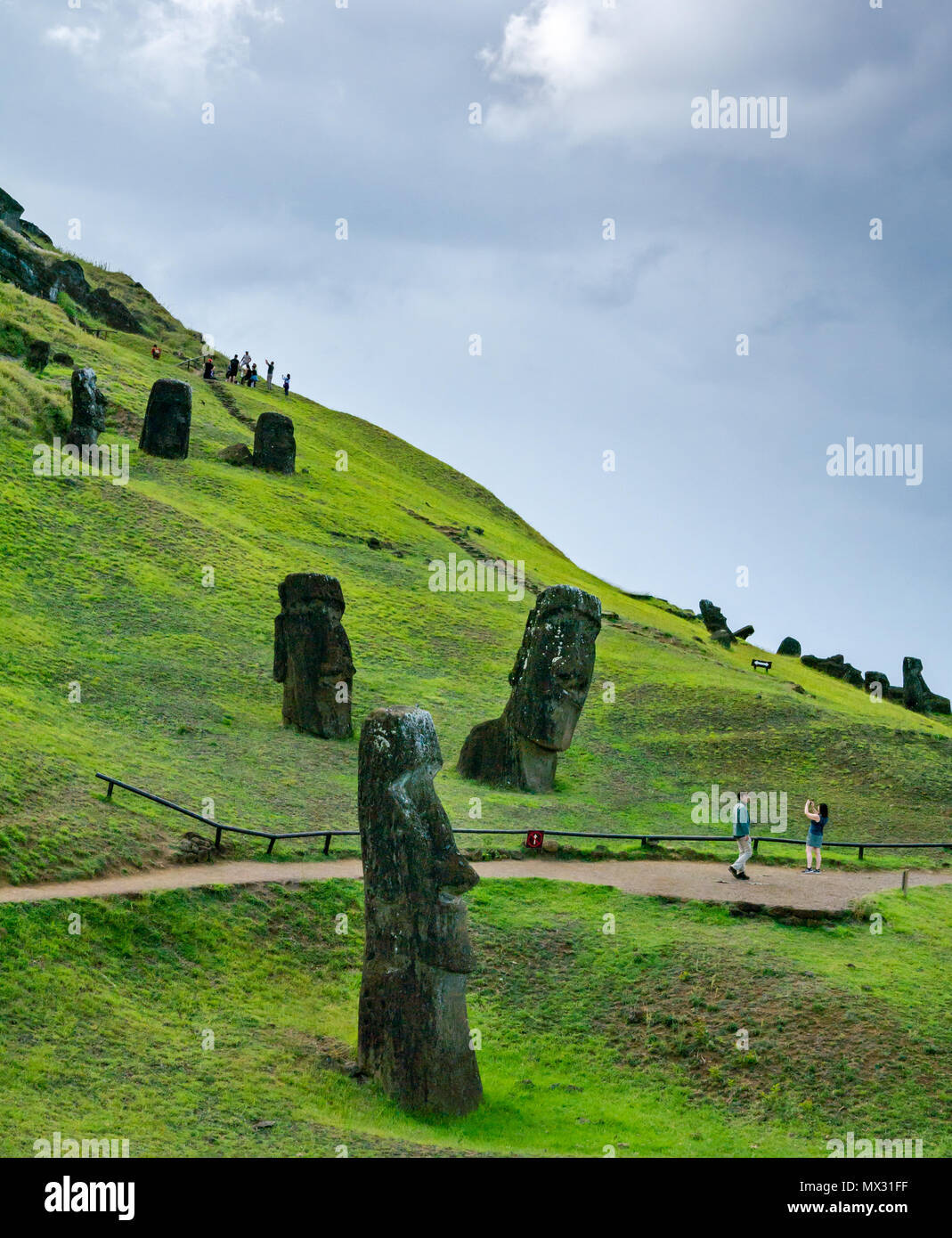 Unfinished and abandoned Moai heads, Rano Raraku quarry, Easter Island, Rapa Nui, Chile Stock