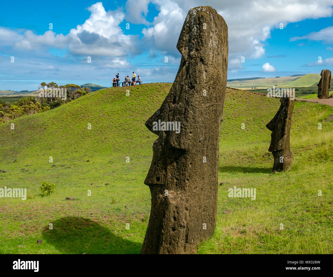Unfinished and abandoned Moai heads, Rano Raraku quarry, Easter Island, Rapa Nui, Chile Stock Photo