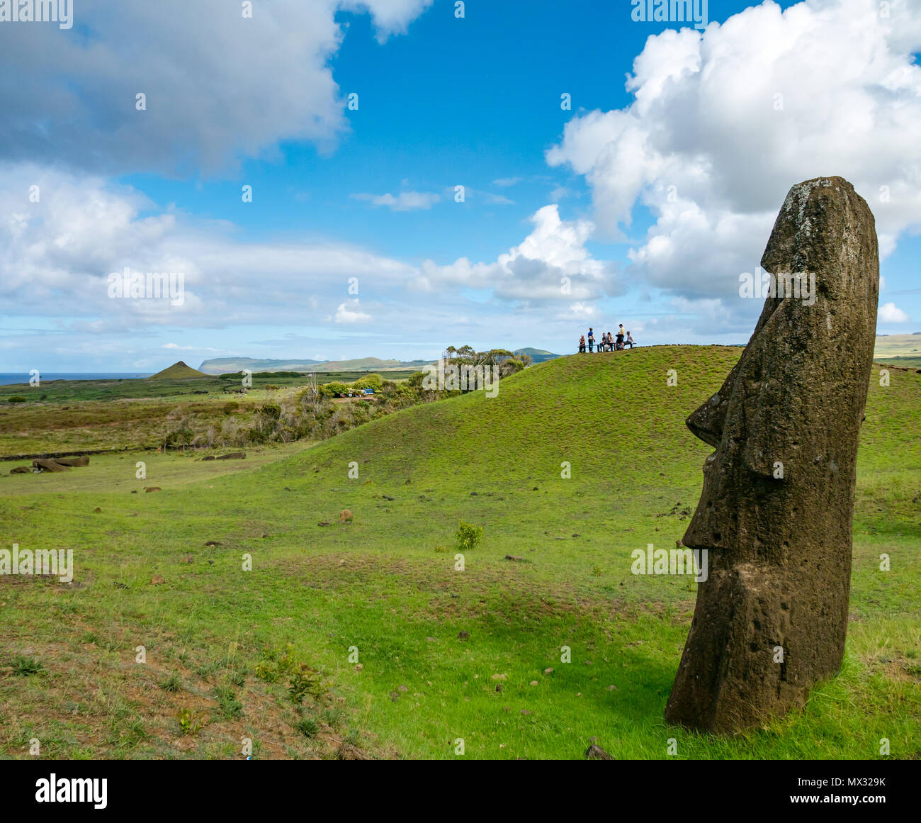 Unfinished and abandoned Moai head, Rano Raraku quarry, Easter Island, Rapa Nui, Chile Stock
