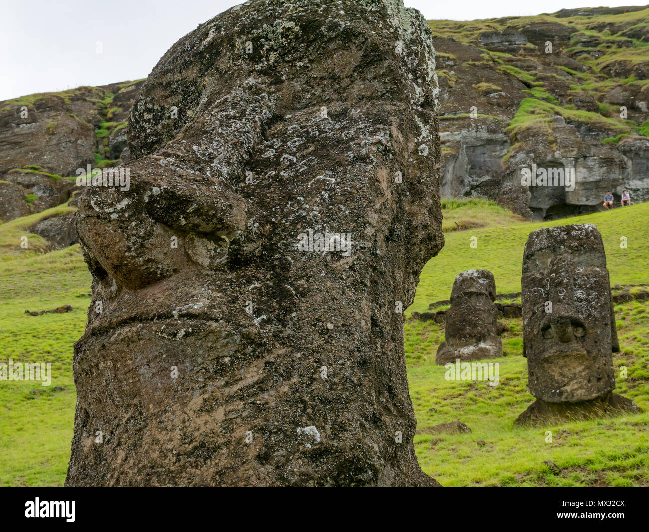 Close up of unfinished and abandoned Moai heads, Rano Raraku quarry, Easter Island, Rapa Nui